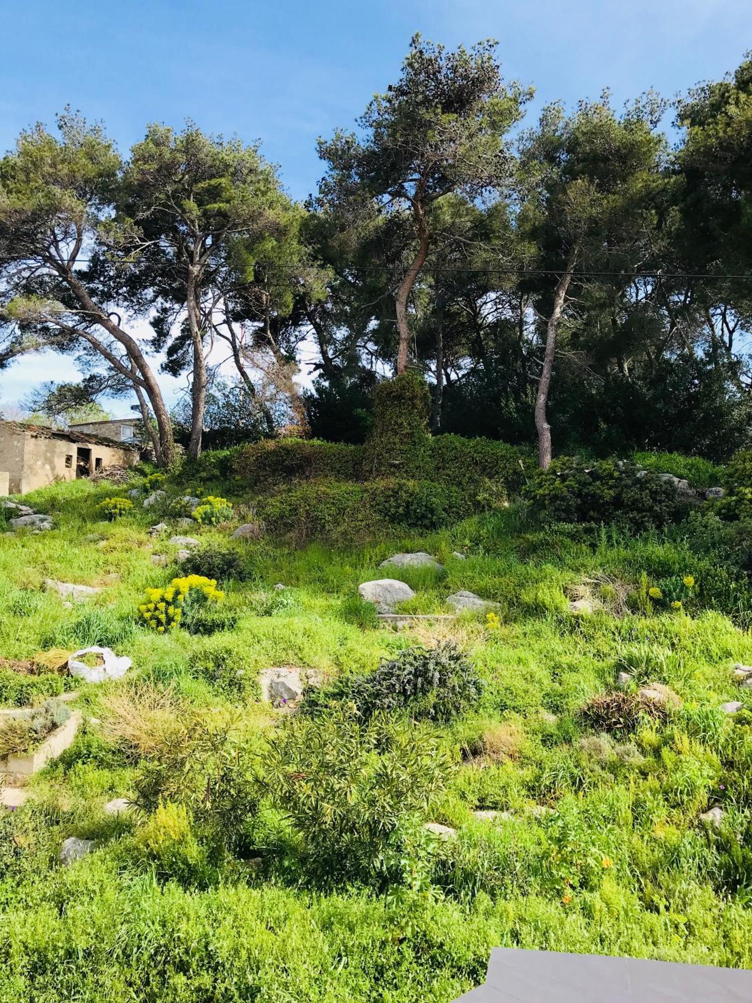 Apartmani Sali Seaview מראה חיצוני תמונה
